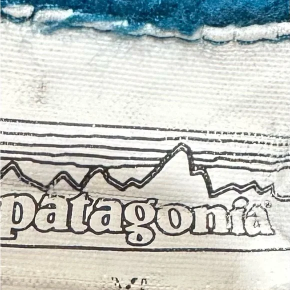 Rare Patagonia Men's XL R3 Hoody Reversible